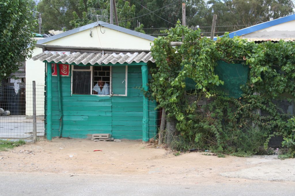 Butterfly House