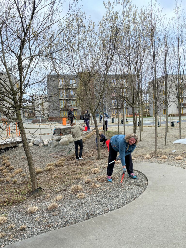 Vårdugnad
