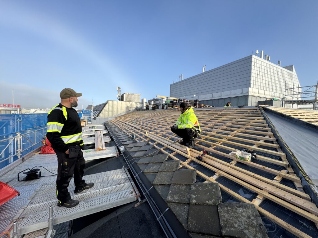 20250826_055557514_iOS