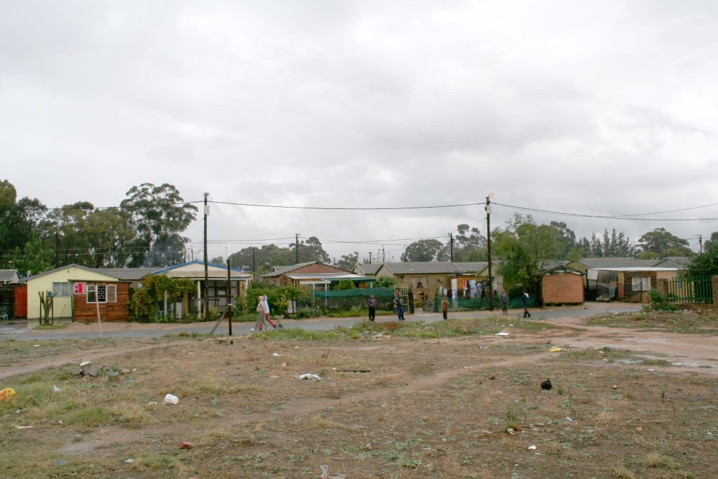 Butterfly House
