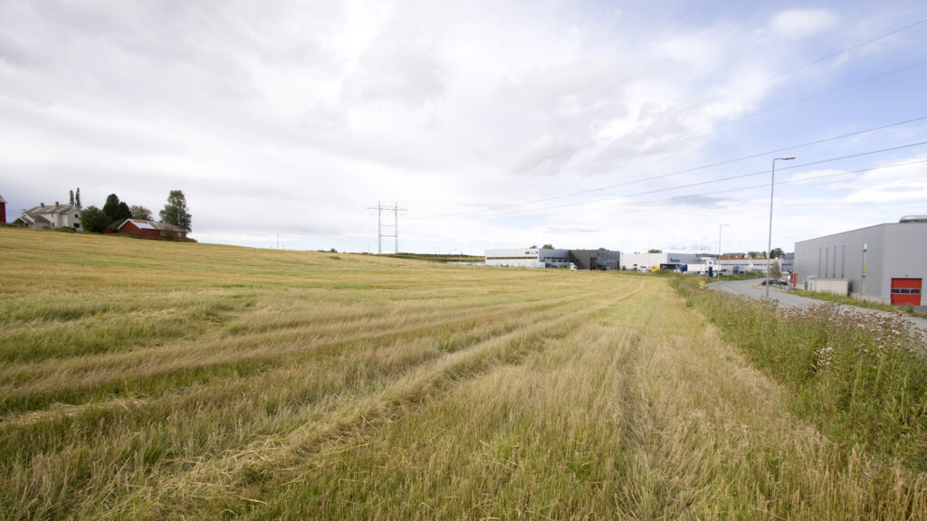 Næringstomt Torgård