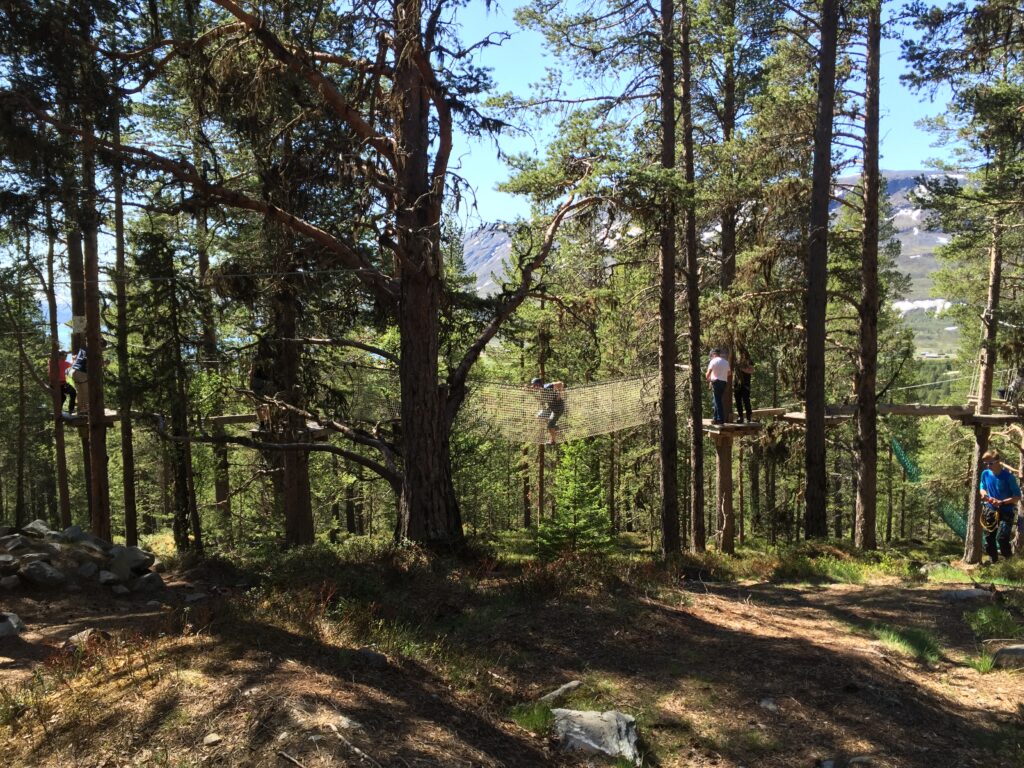 Brimiskogen