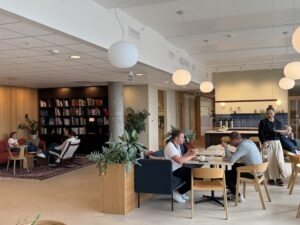 Vi søker etter Business Controller
