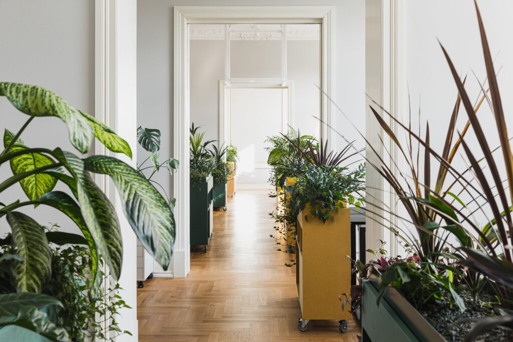 Plantekasser som skillevegg