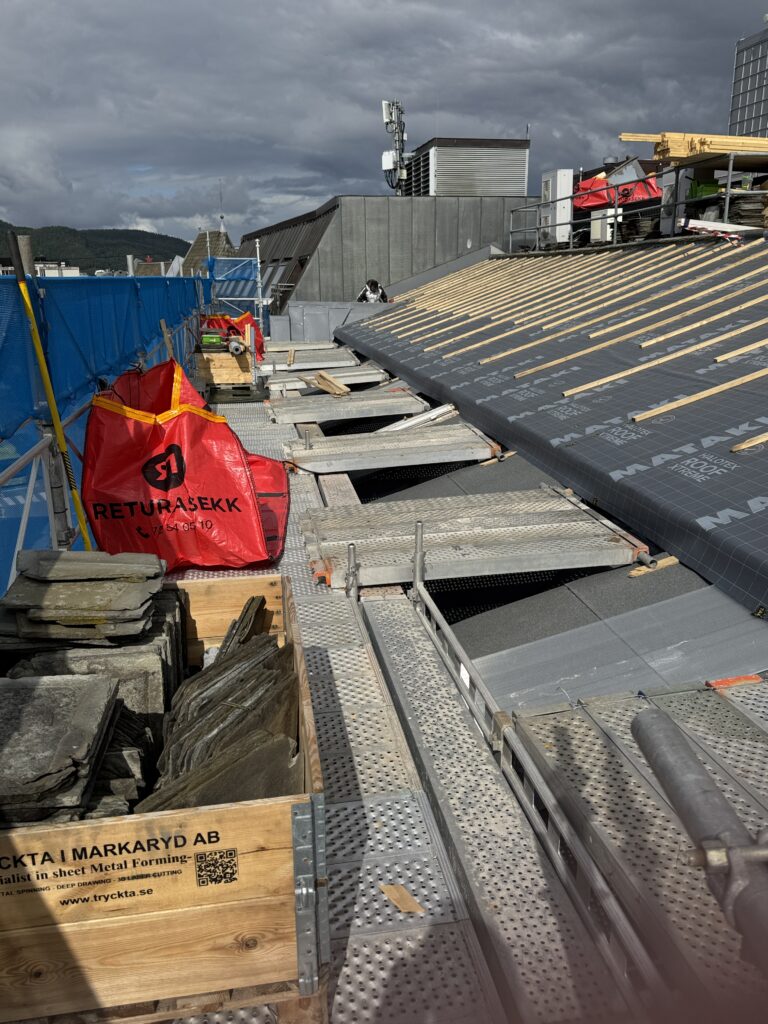 Takkpapp lekter og stein