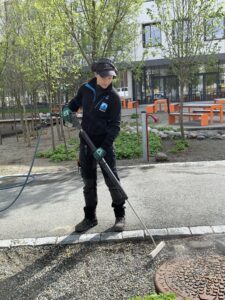 Miljøvennlig ugressbekjempelse