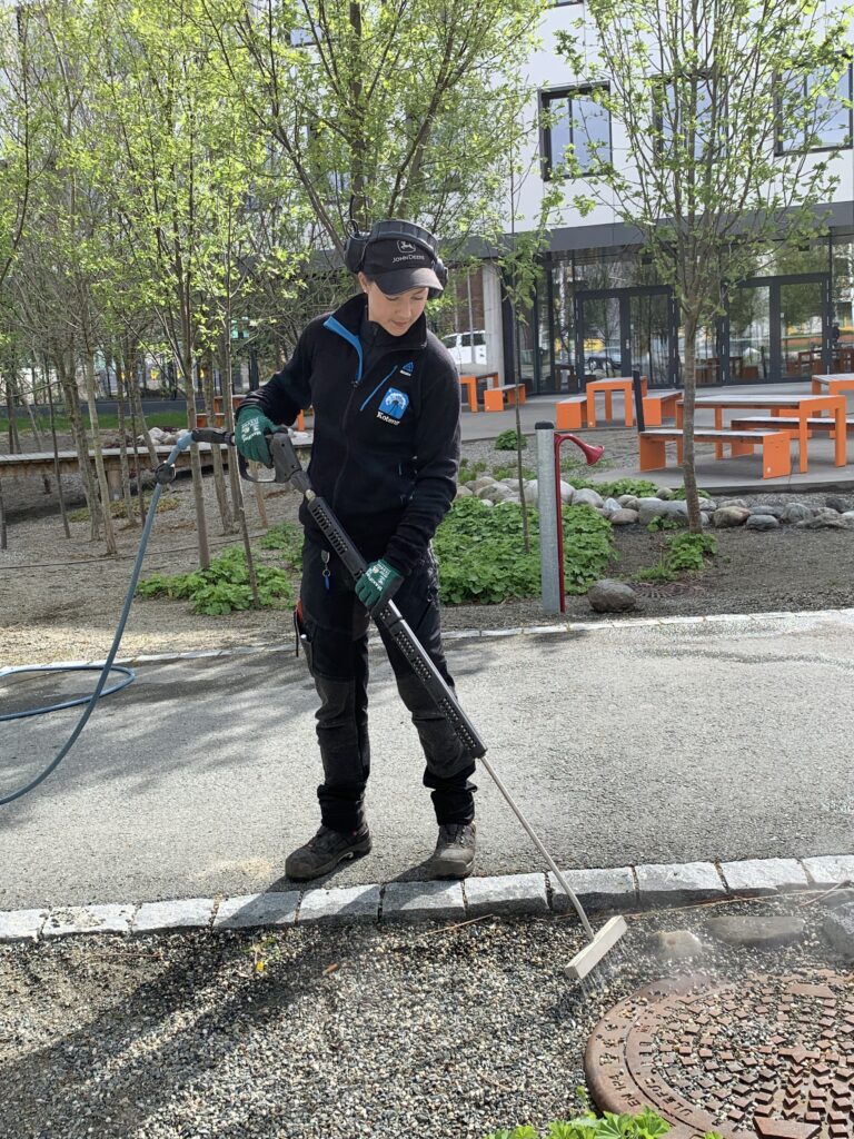 Miljøvennlig ugresskjempelse i grusrabatter